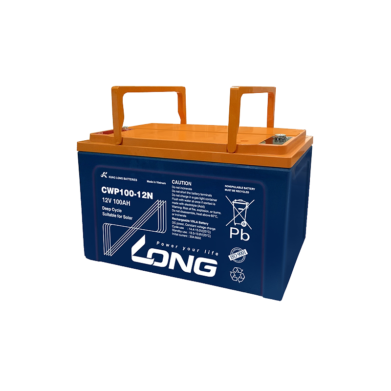 Batteria Long CWP100-12N 12V 100Ah AGM