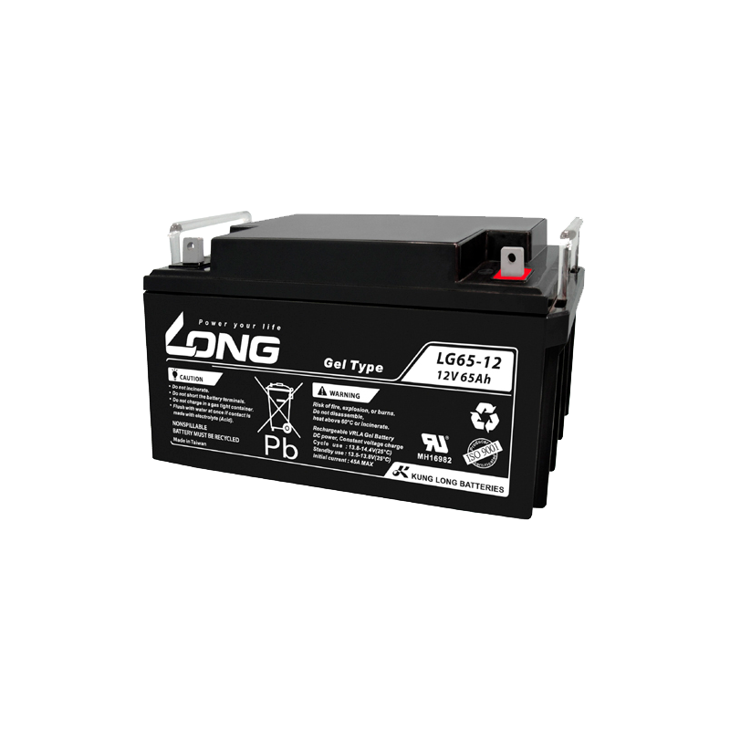 Bateria Long LG65-12 12V 65Ah GEL
