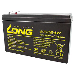 Batteria Long WP1224W 12V 6Ah AGM