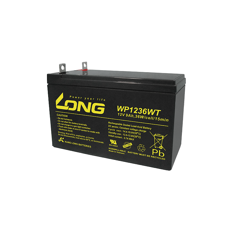 Long WP1236WT battery 12V 9Ah AGM
