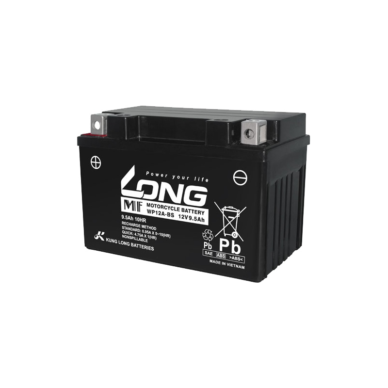 Long WP12A-BS battery 12V 9.5Ah AGM