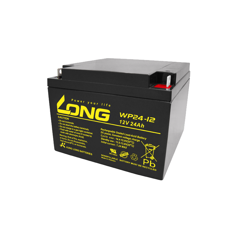Long WP24-12 battery 12V 24Ah AGM