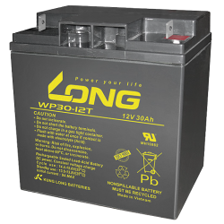 Long WP30-12T battery 12V 30Ah AGM