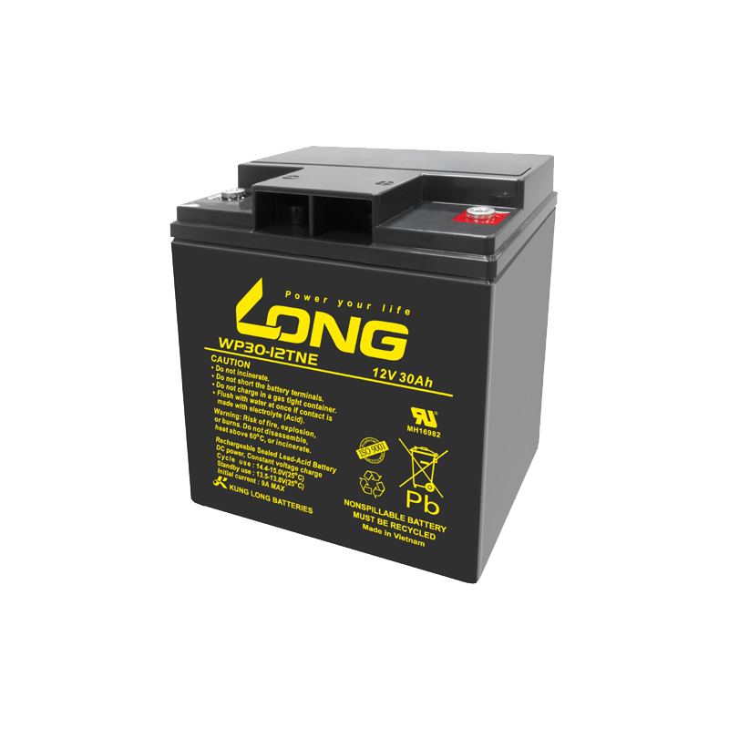 Long WP30-12TNE battery 12V 30Ah AGM