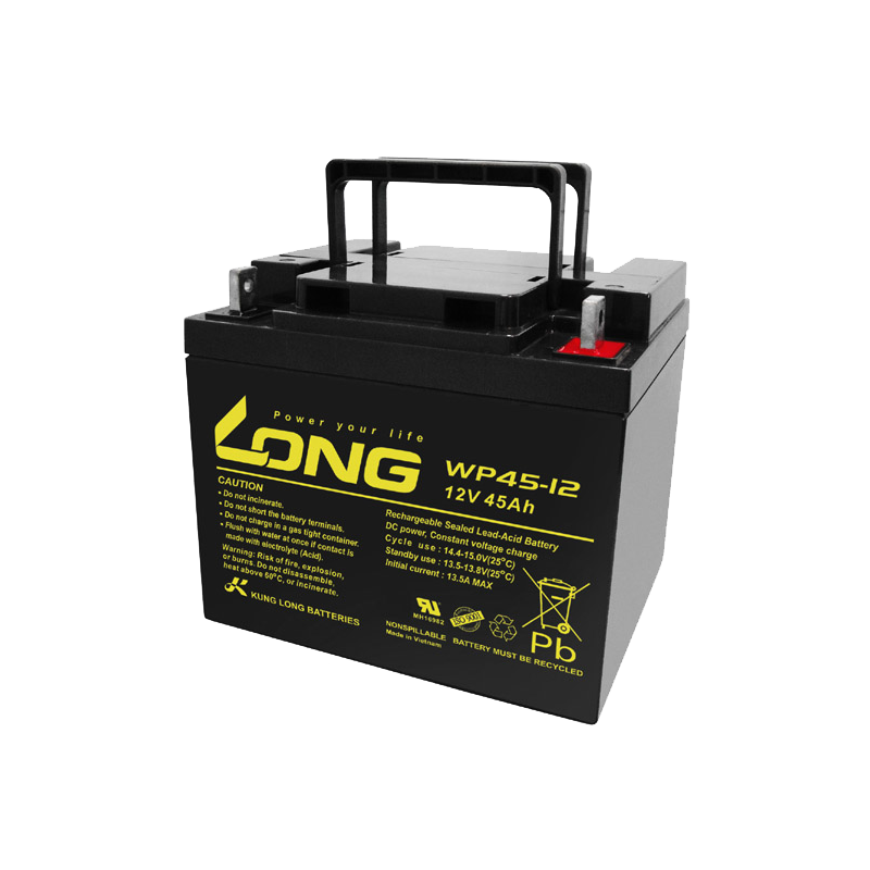 Batterie Long WP45-12 12V 45Ah AGM