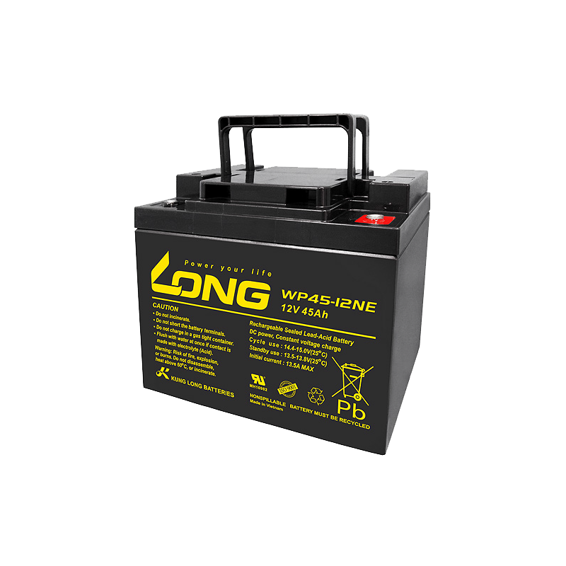 Long WP45-12NE battery 12V 45Ah AGM