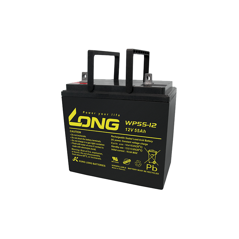 Long WP55-12 battery 12V 55Ah AGM