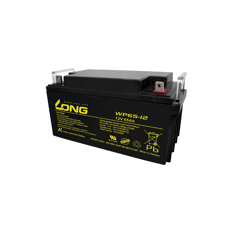 Batterie Long WP65-12 12V 65Ah AGM
