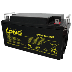 Long WP65-12B battery 12V 65Ah AGM