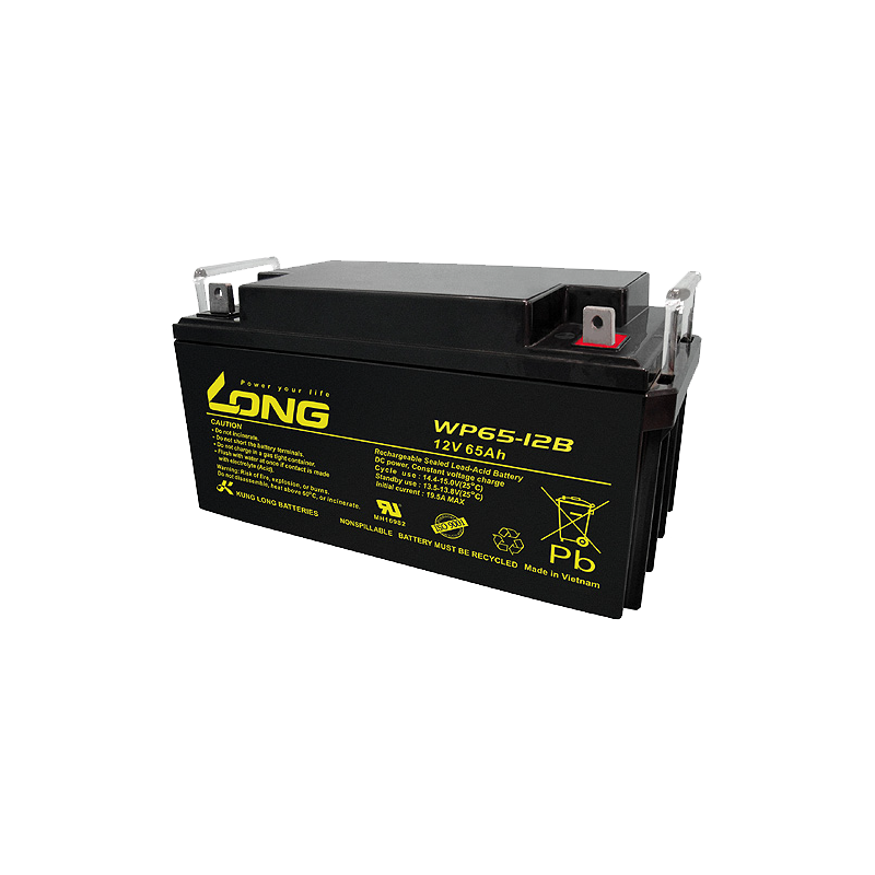 Long WP65-12B battery 12V 65Ah AGM