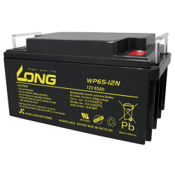 Batterie Long WP65-12N 12V 65Ah AGM