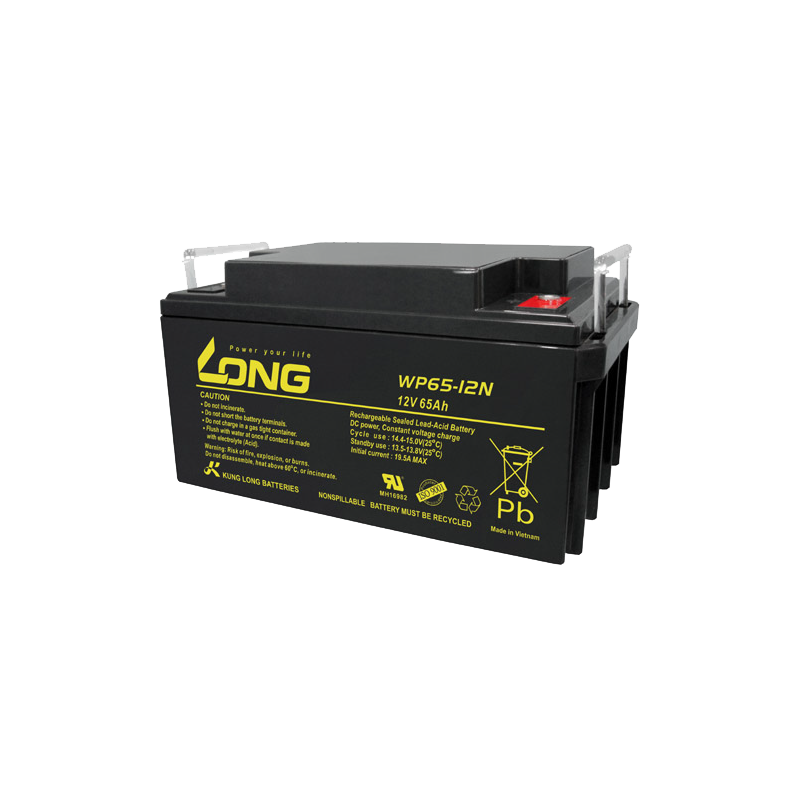 Long WP65-12N battery 12V 65Ah AGM