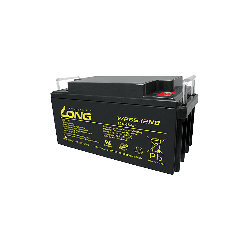 Bateria Long WP65-12NB 12V 65Ah AGM
