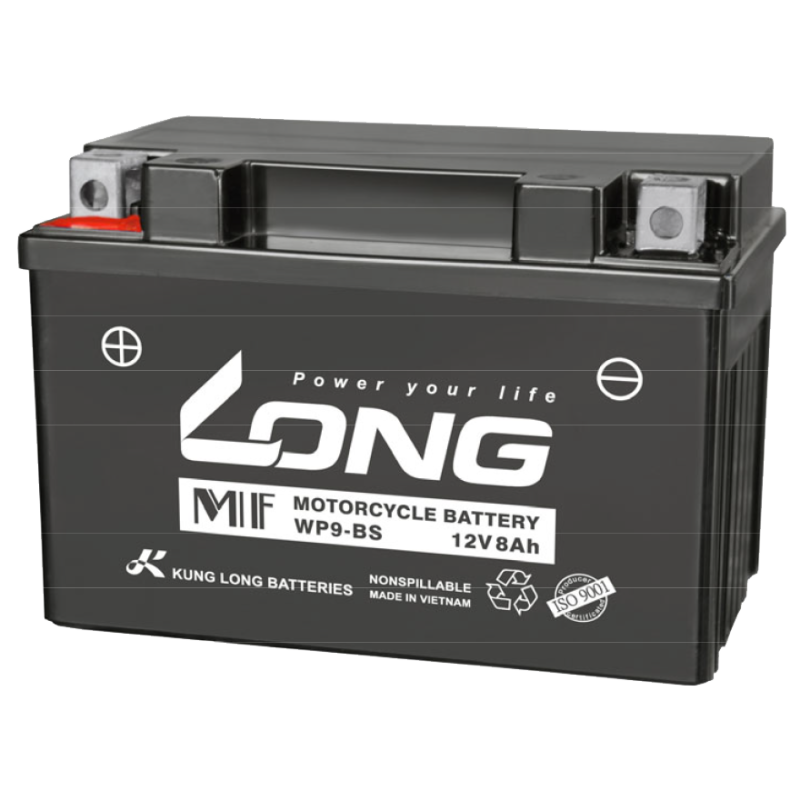 Batterie Long WP9-BS 12V 8Ah AGM