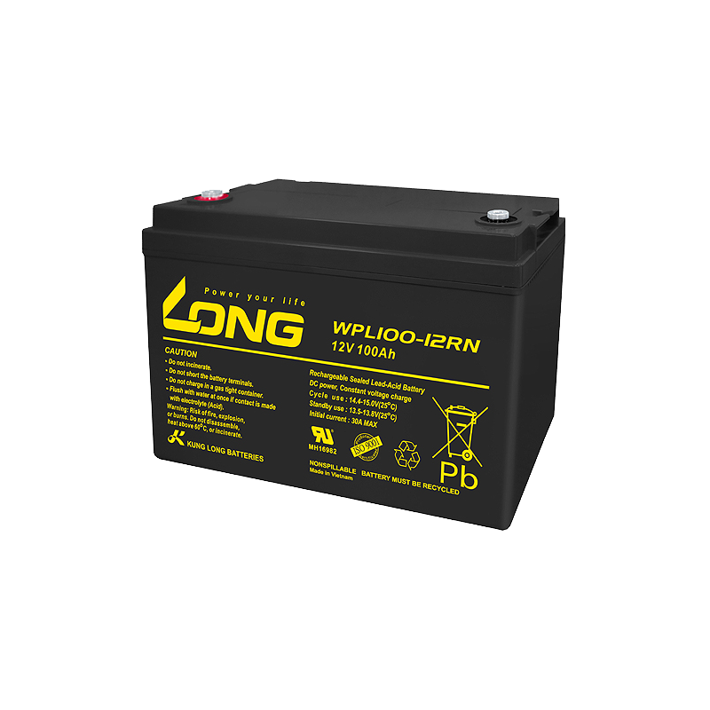 Long WPL100-12RN battery 12V 100Ah AGM