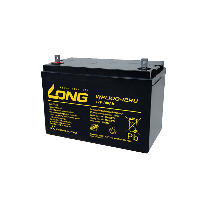Batteria Long WPL100-12RU 12V 100Ah AGM