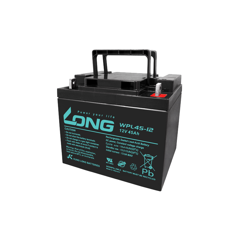 Batterie Long WPL45-12 12V 45Ah AGM