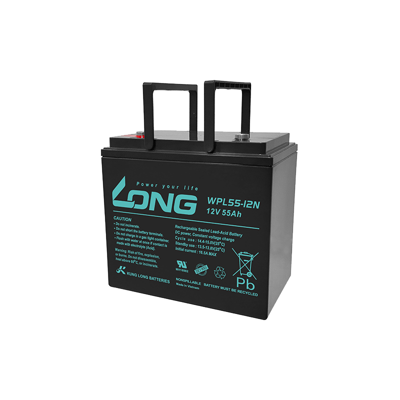 Long WPL55-12N battery 12V 55Ah AGM