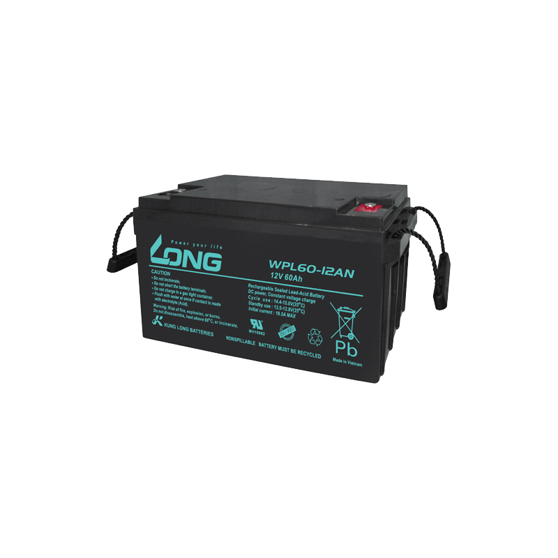 Long WPL60-12AN battery 12V 60Ah AGM