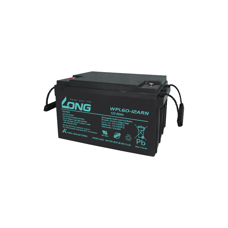 Long WPL60-12ARN battery 12V 60Ah AGM