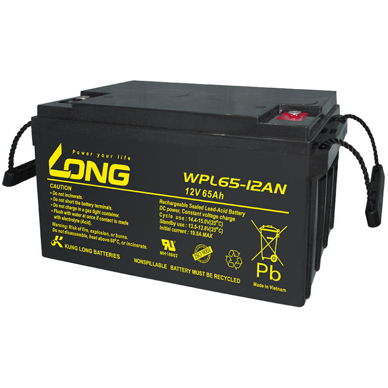 Bateria Long WPL65-12AN 12V 65Ah AGM