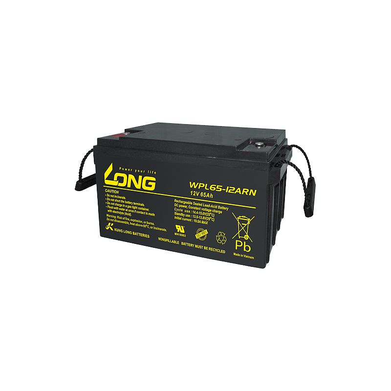 Bateria Long WPL65-12ARN 12V 65Ah AGM