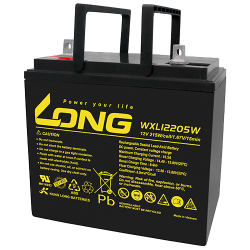 Long WXL12205W battery 12V 55Ah AGM