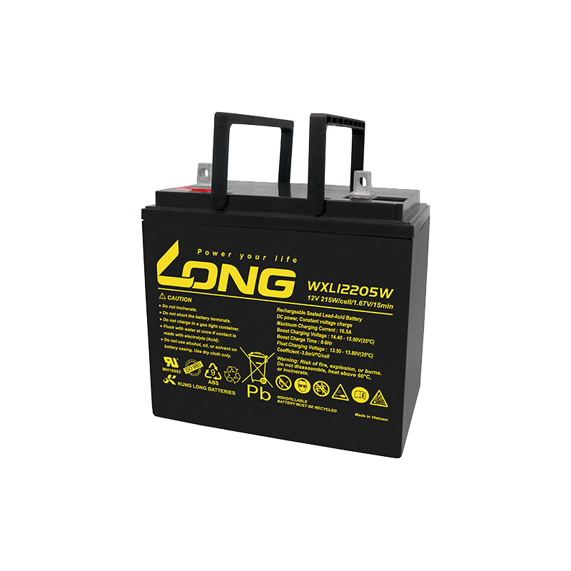 Batería Long WXL12205W 12V 55Ah AGM