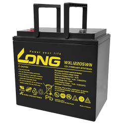 Batterie Long WXL12205WN 12V 55Ah AGM