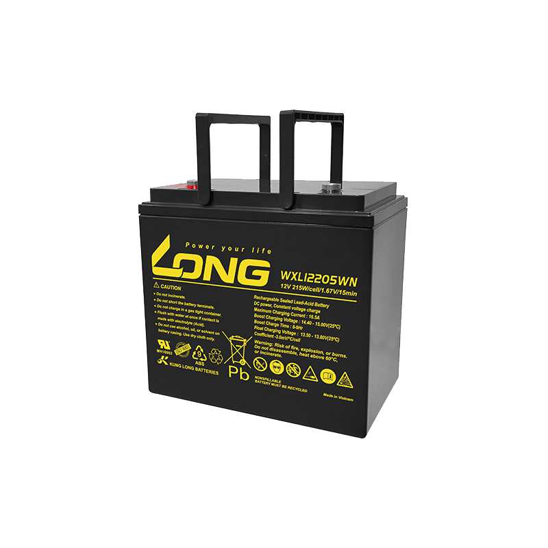 Bateria Long WXL12205WN 12V 55Ah AGM