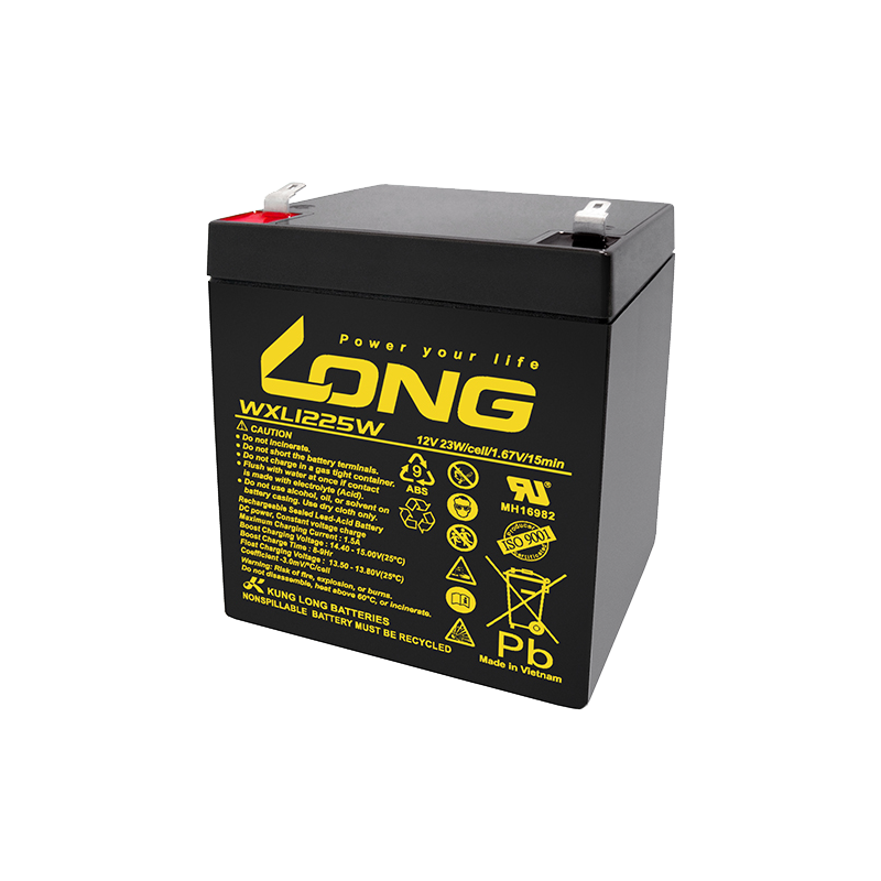 Long WXL1225W battery 12V 5Ah AGM