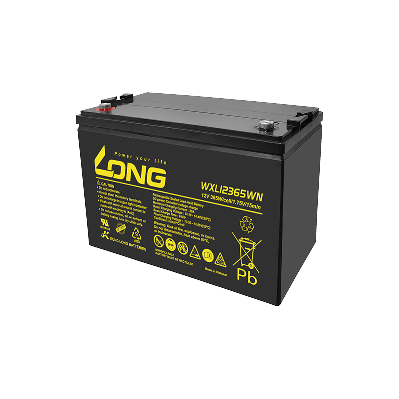 Batterie Long WXL12365WN 12V 95Ah AGM