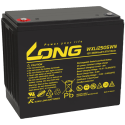 Long WXL12505WN battery 12V 130Ah AGM