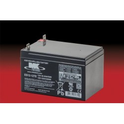 Batterie Mk ES12-12TE 12V 12Ah AGM