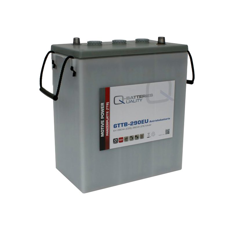 Q-battery 6TTB-290EU battery 6V 290Ah