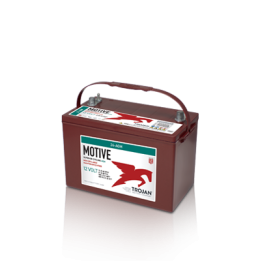 Bateria Trojan 24-AGM 76Ah - 1