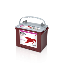 Bateria Trojan 24-GEL 77Ah - 1