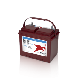 Bateria Trojan 24TMX 85Ah - 1