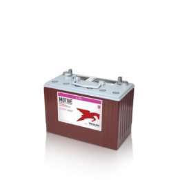 Bateria Trojan 31-GEL 102Ah - 1