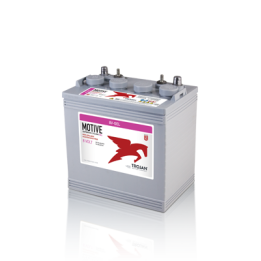 Bateria Trojan 8V-GEL 140Ah - 1