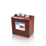 Batterie Trojan T-605 6V 210Ah