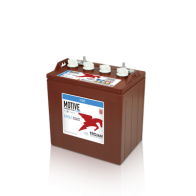 Batterie Trojan T-875 8V 170Ah