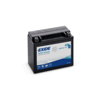 Bateria Exide AGM12-19 18Ah - 1