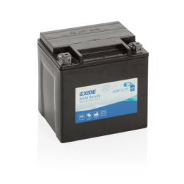 Bateria Exide AGM12-31 30Ah - 1