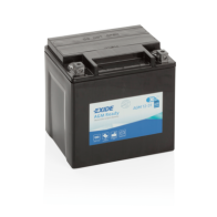 Bateria Exide AGM12-31 30Ah - 1